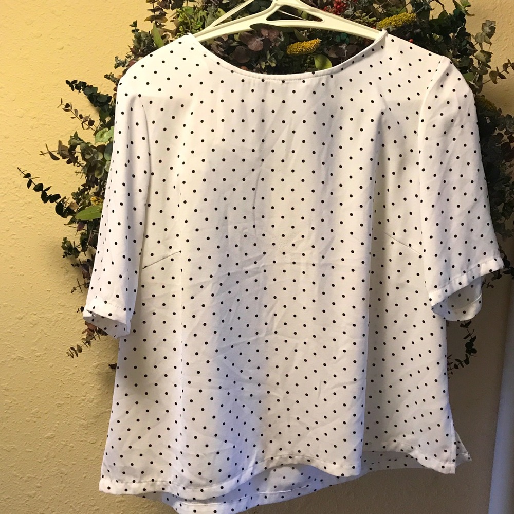 Polka Dot crop blouse